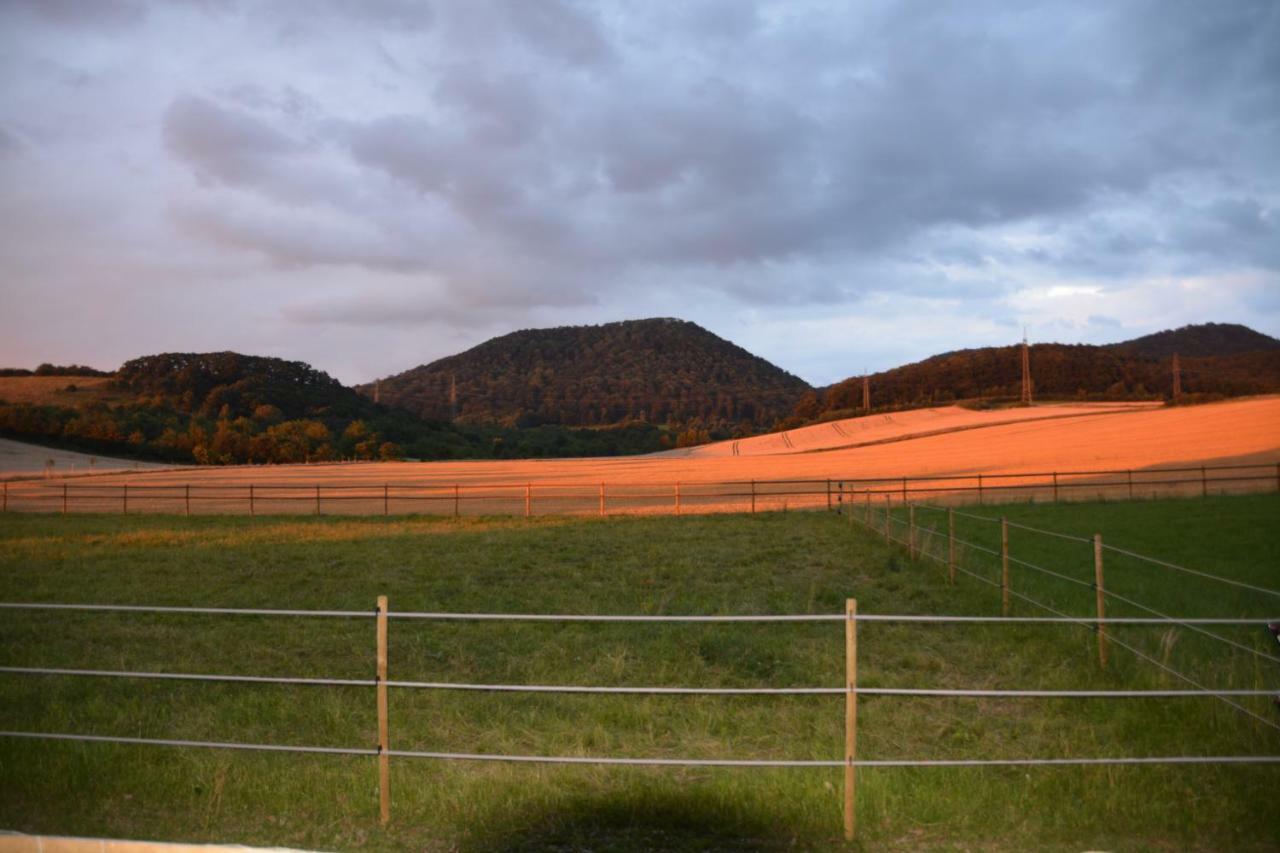 Sieben-Berge-Haus Vendégház Bruggen  Kültér fotó